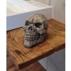 Czaszka ozdobna – do wnętrz 17 cm