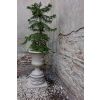 Donica Amforowa z Uchwytami wys. 78 cm szer. 60 cm