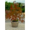 Donica ogrodowa z ornamentem wys. 29 cm szer. 36 cm