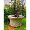 Donica z plecionym wzorem wys. 43 cm szer. 44 cm