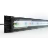Zestaw Akwarium Rio 240 HeliaLux LED