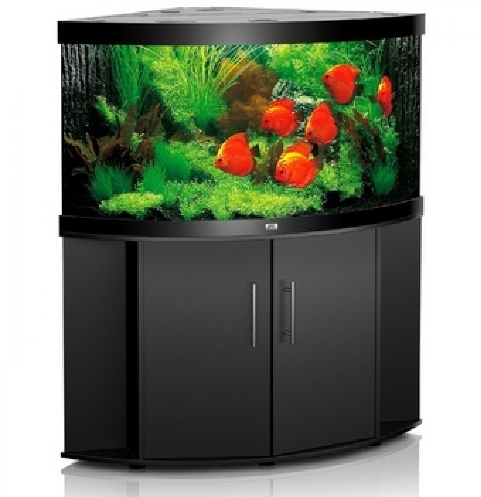 Juwel Akwaria i Szafki - juwel_akwaria_i_szafki.jpg